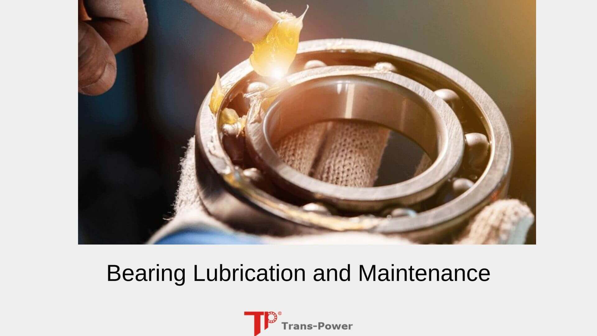 Bearing Lubrication and Maintenance from TP Bearings