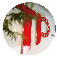 TP auto bearing manufacturer