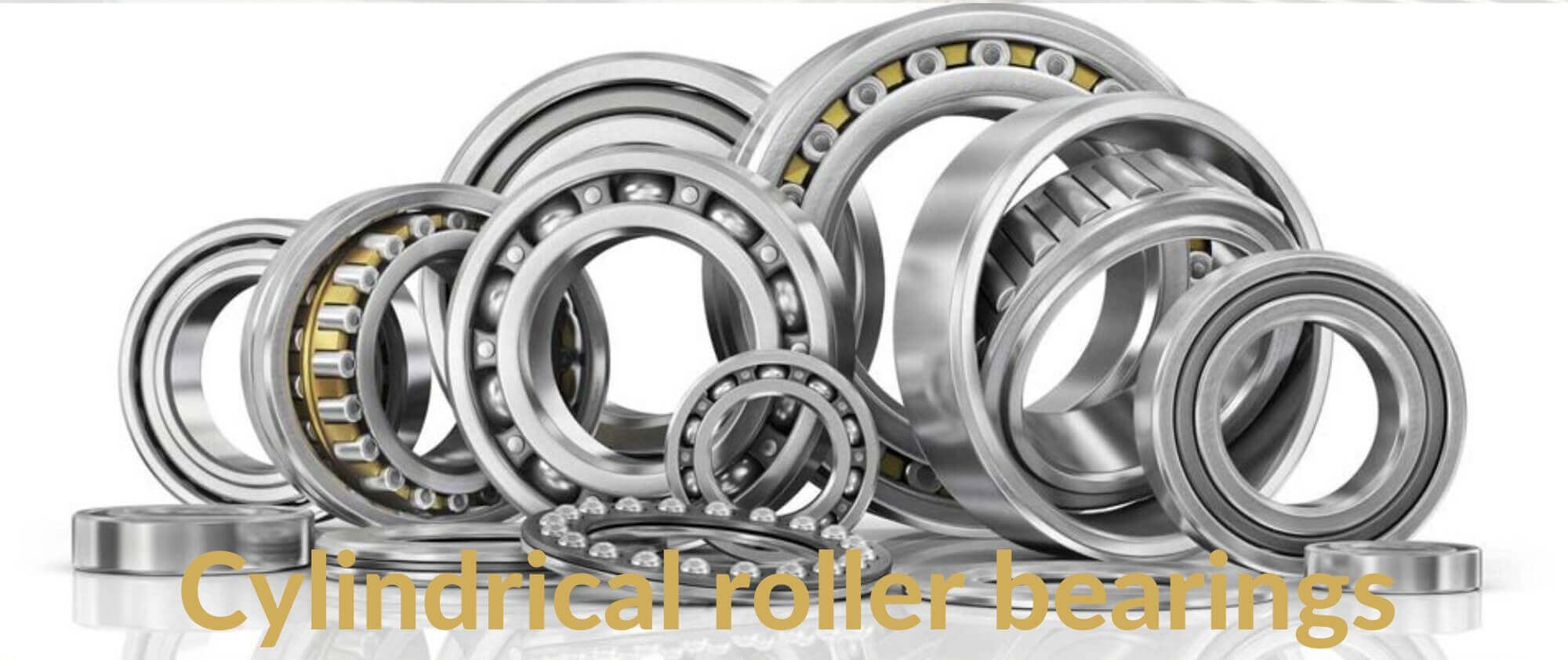 Trans Power Cylindrical roller bearings